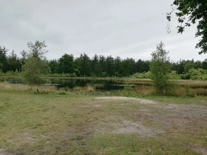 Outdoor center Boomkroonpad (The Netherlands)
